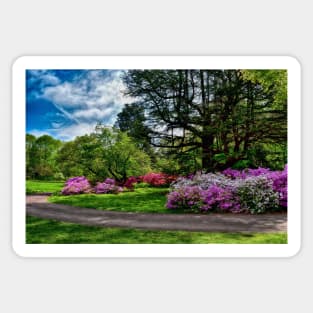 Azalea Meadow Sticker